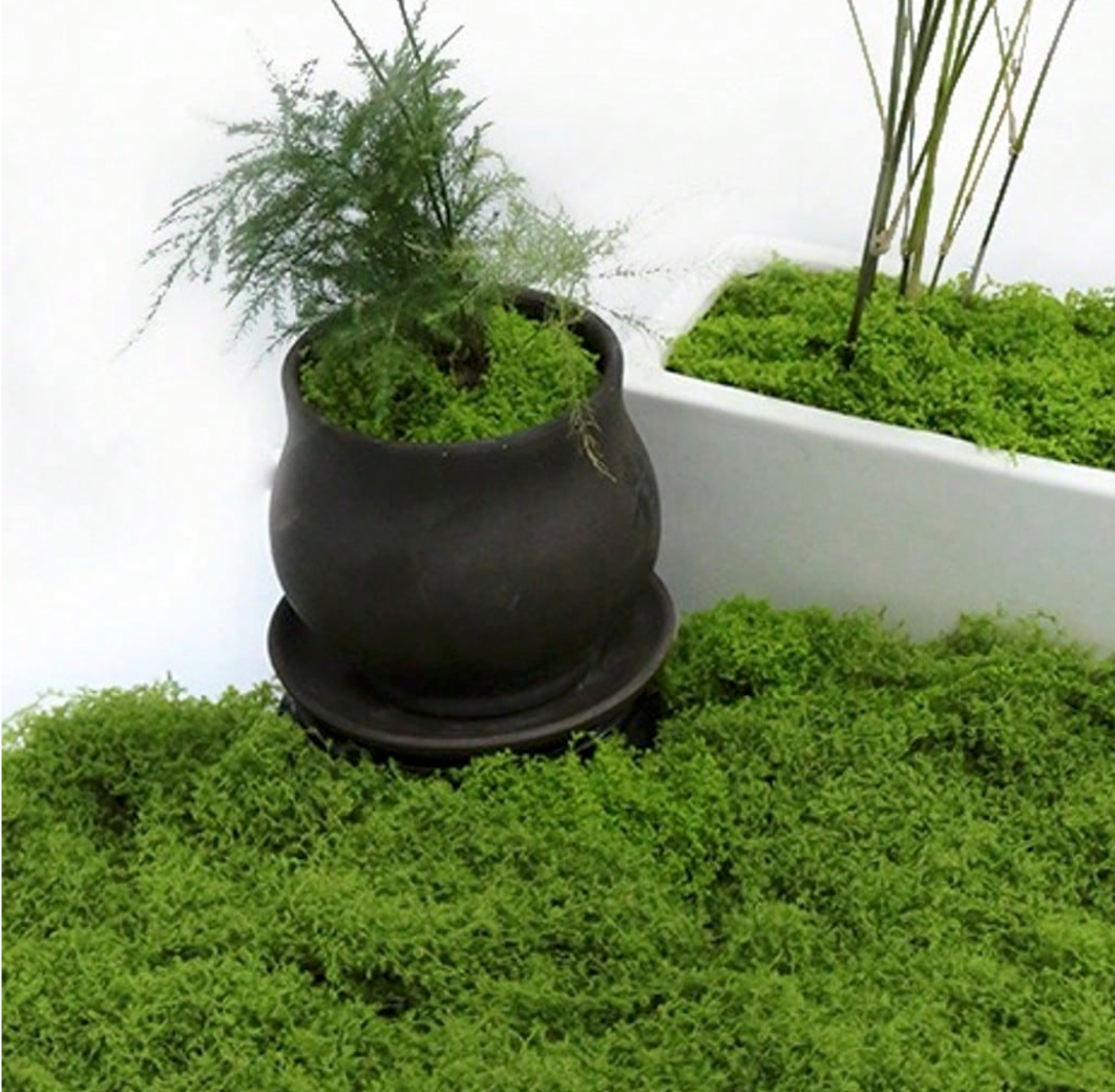 50g Artificial Green Moss Simulated Plant -  Wasilaah