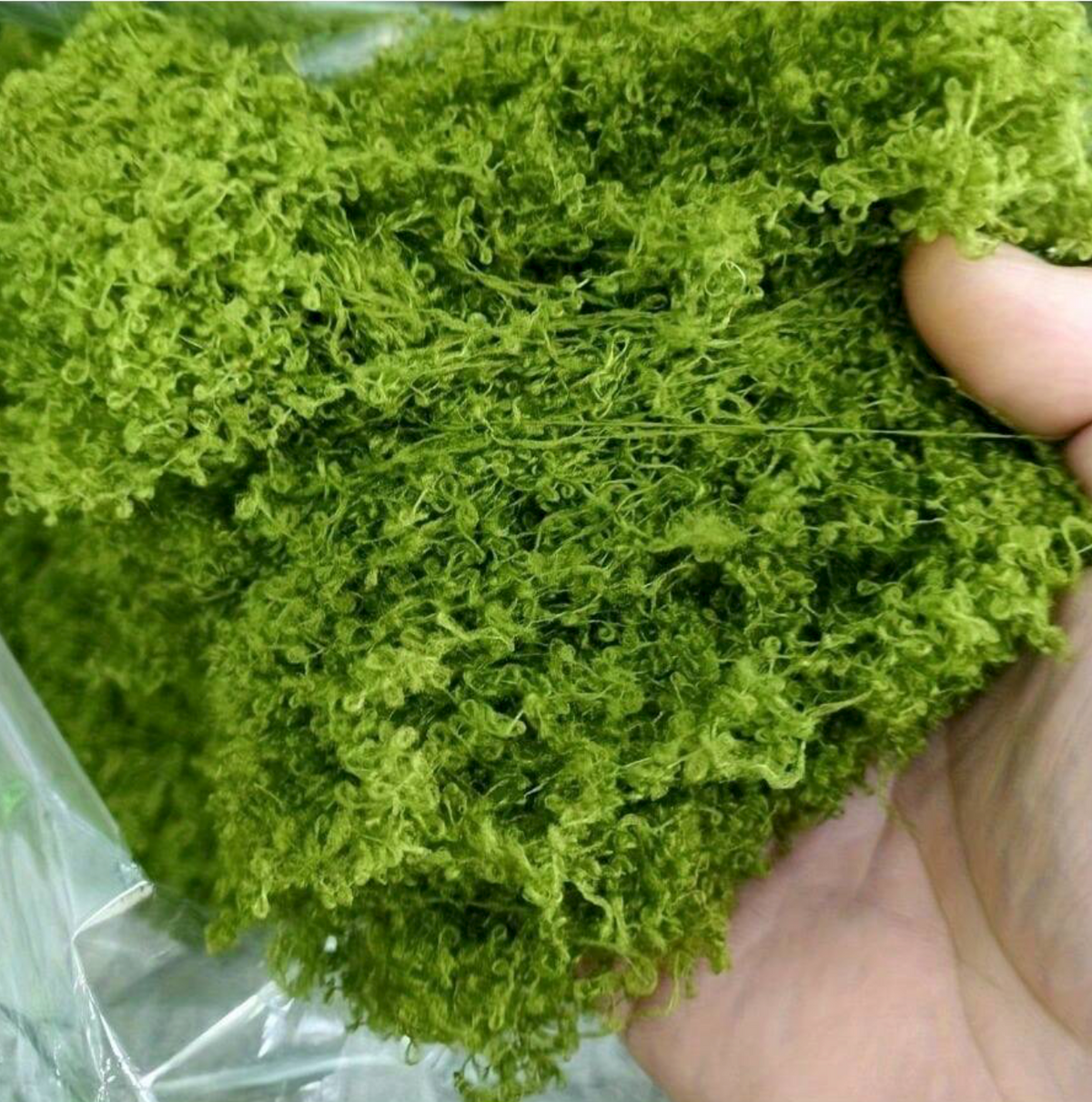 50g Artificial Green Moss Simulated Plant -  Wasilaah