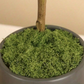 50g Artificial Green Moss Simulated Plant
