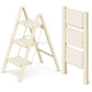 3 Step Folding Ladder